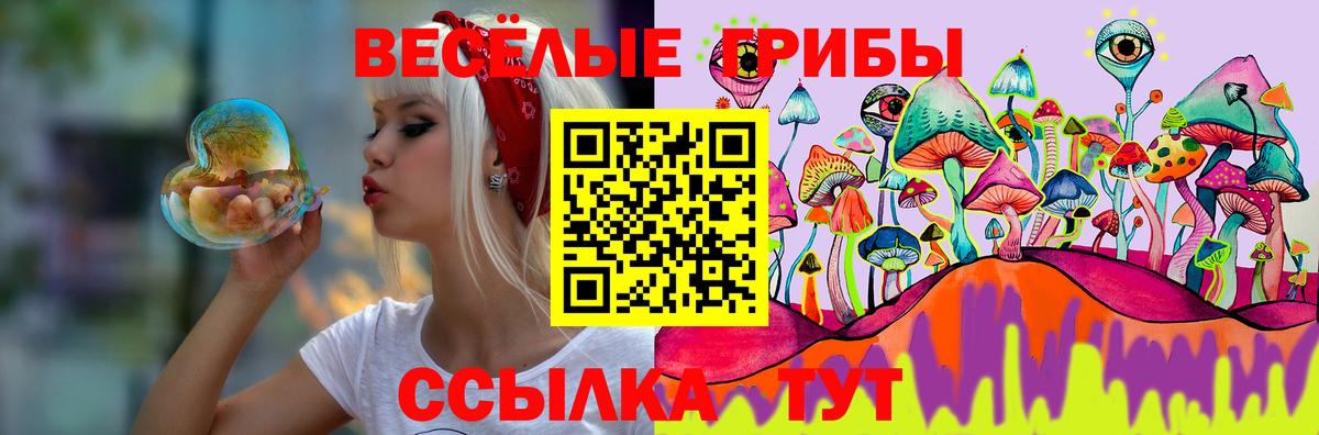 Псилоцибиновые грибы Cubensis Знаменск
